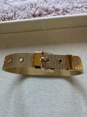 Gold Mesh Buckle Bracelet